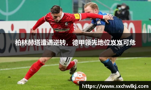 江南体育官网