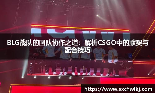 BLG战队的团队协作之道：解析CSGO中的默契与配合技巧